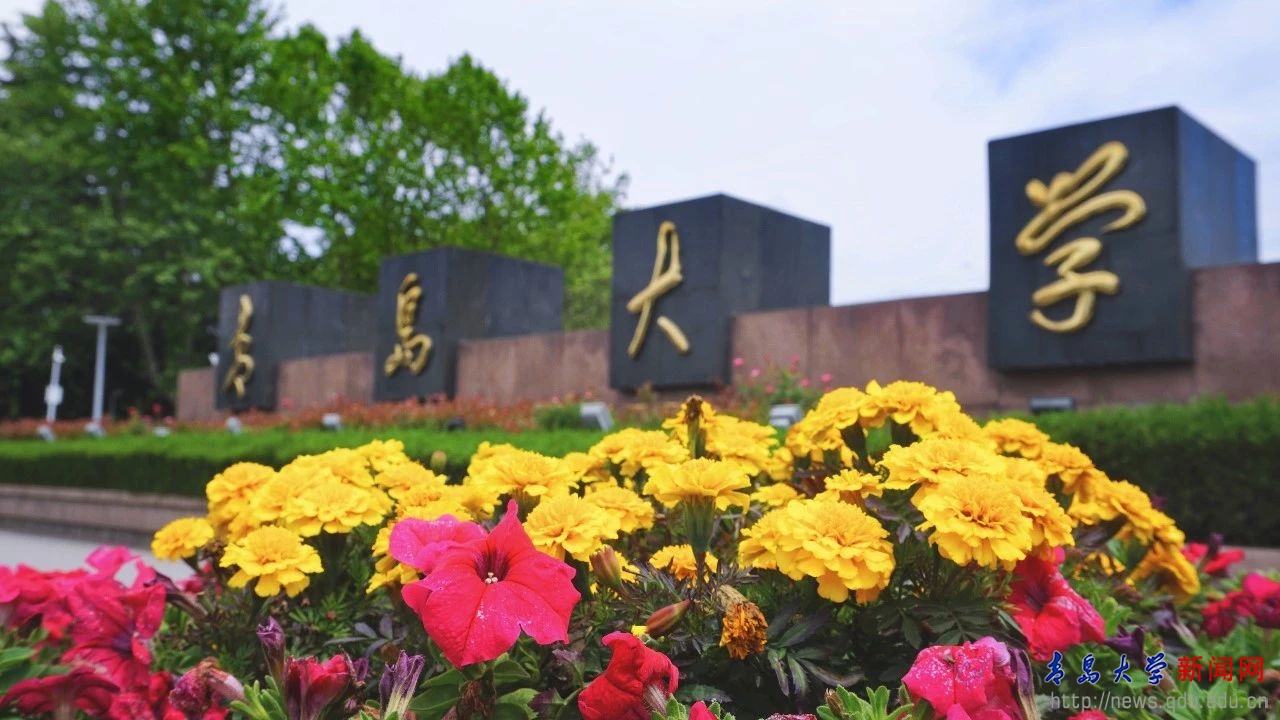 青岛大学 qingdao university